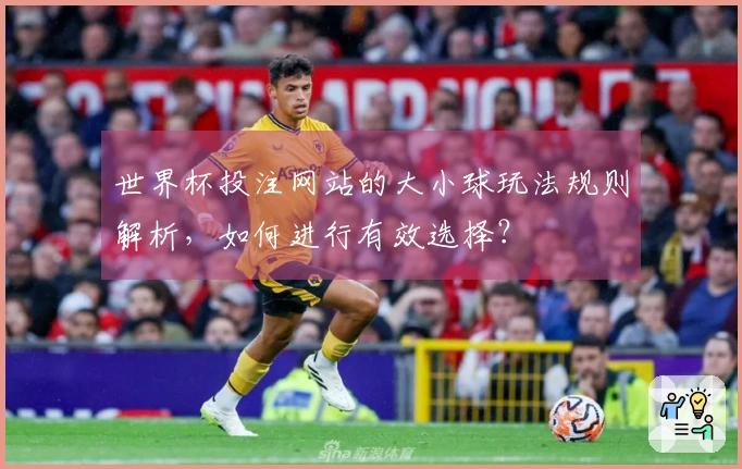 世界杯投注网站的大小球玩法规则解析，如何进行有效选择？