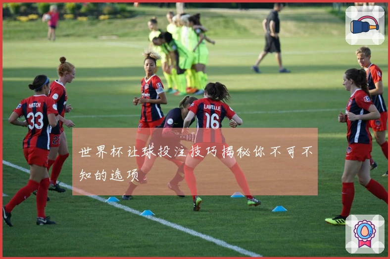 世界杯让球投注技巧揭秘你不可不知的选项