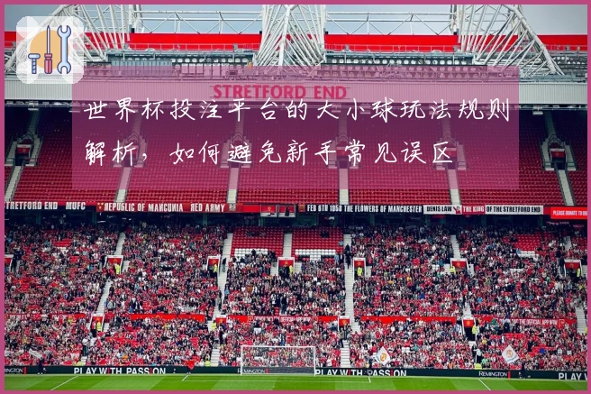 世界杯投注平台的大小球玩法规则解析，如何避免新手常见误区