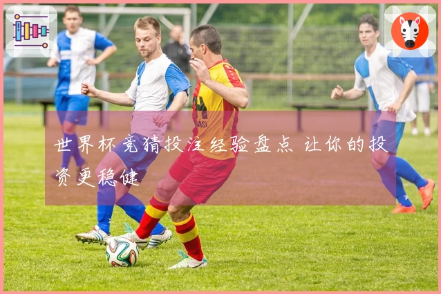 世界杯竞猜投注经验盘点 让你的投资更稳健